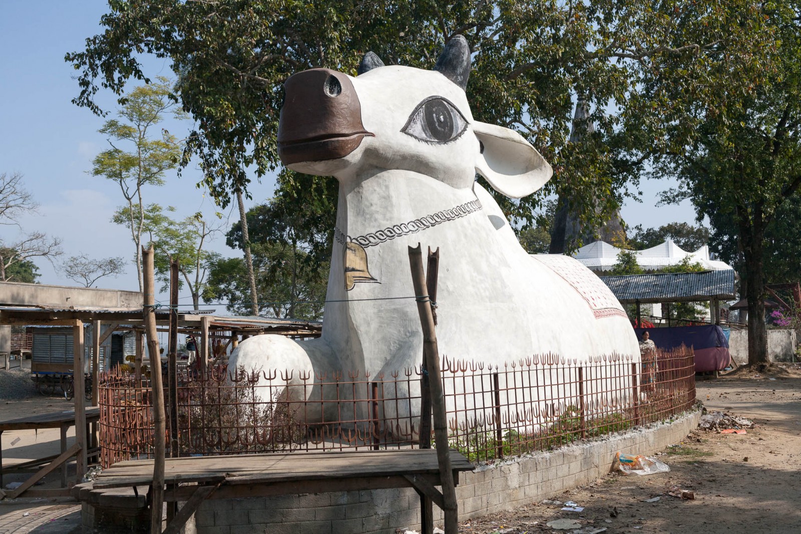 Obří kráva v indickém Assamu