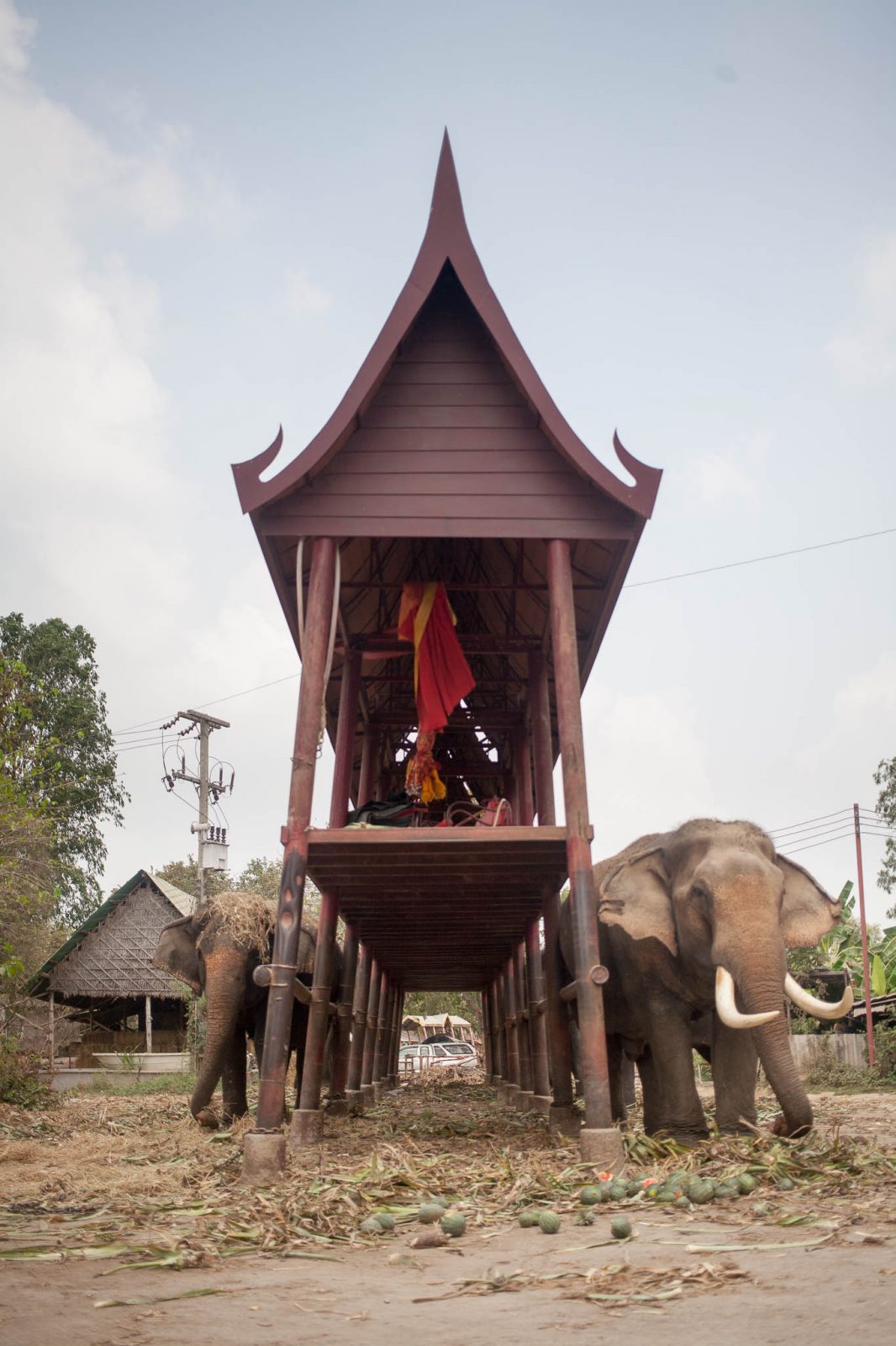 Parkoviště pro slony