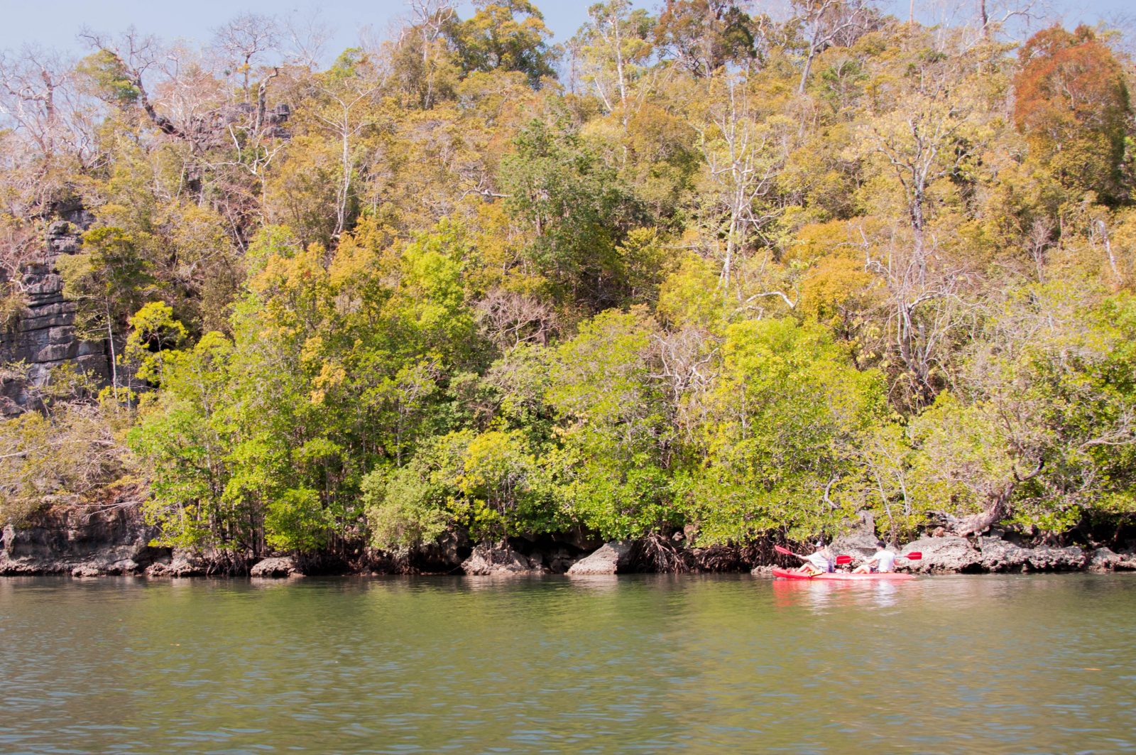 Lucka s Adamom pádlujú a nazerajú medzi vzdušné korene mangrovníkov.