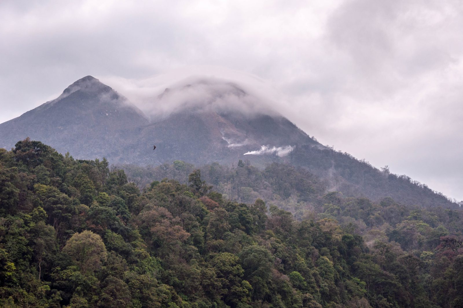 Gunung Sinabung