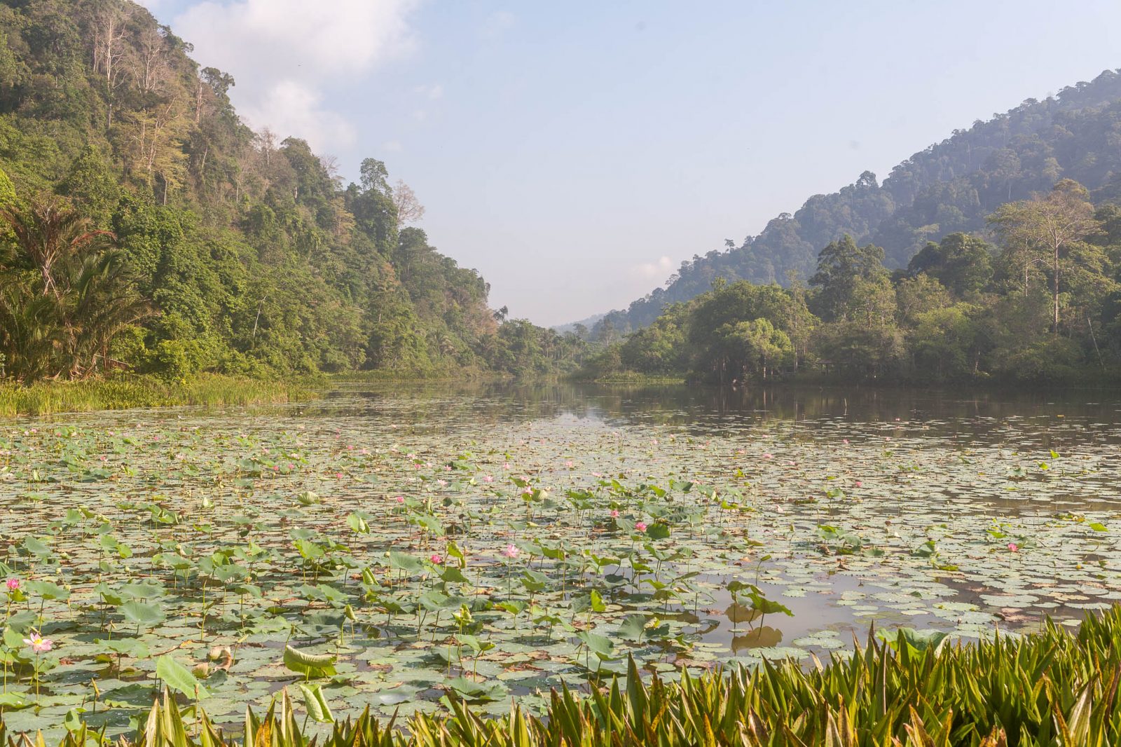 Jezero v Thale Ban