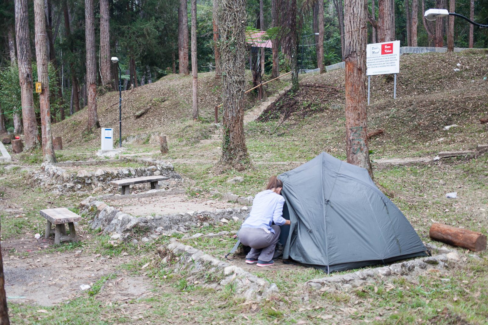 Stan v Cameron Highlands