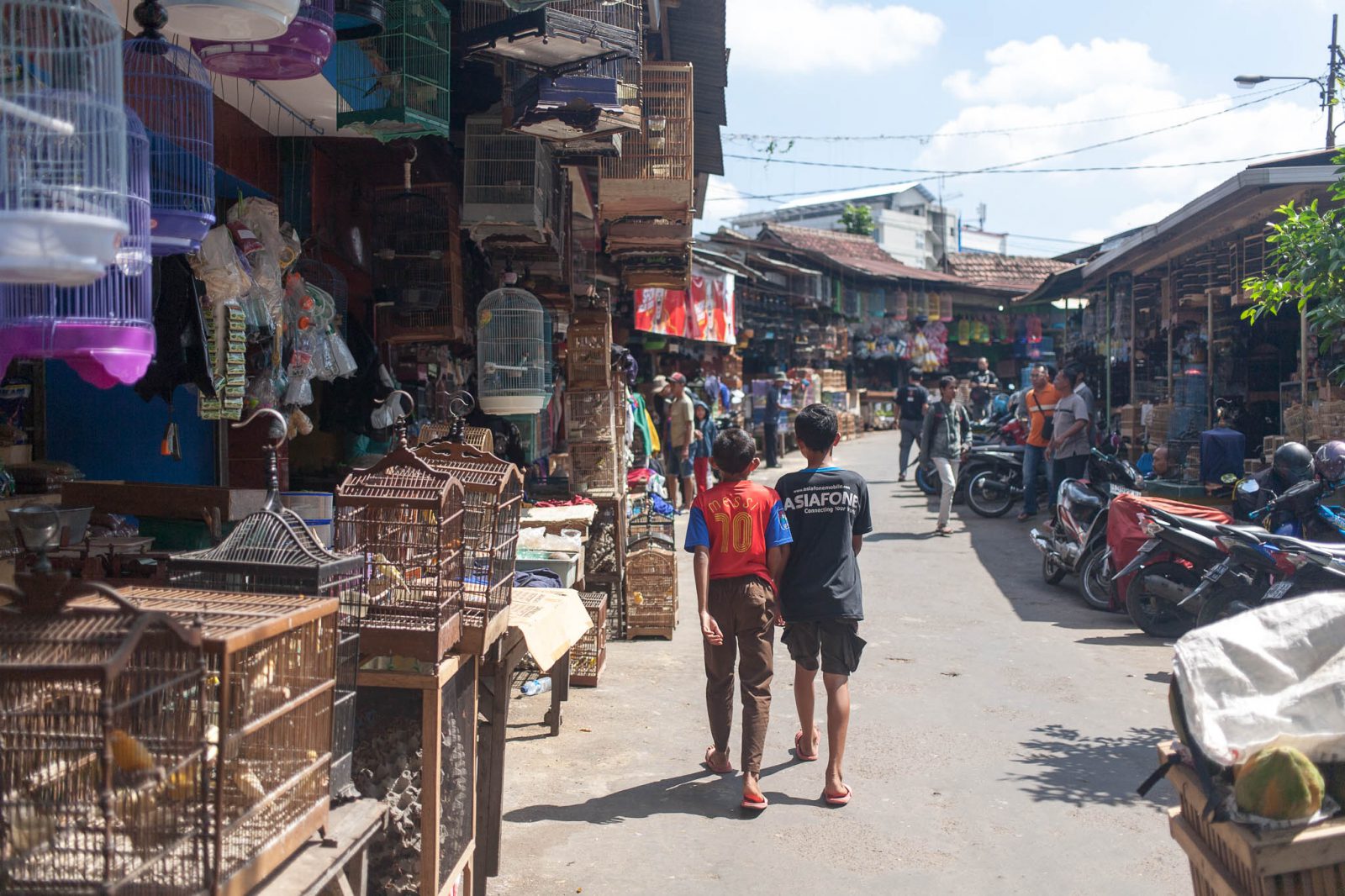 Trh s mazlíčky v Malangu